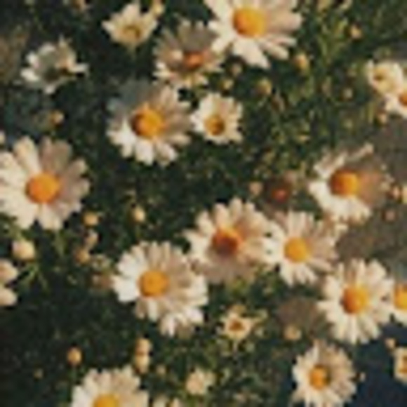 Meet your Posher, Wendy - Picture 1 of 1